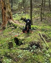 Miris Hundeschule Bild 8