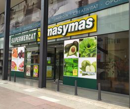 masymas basic imagen 2