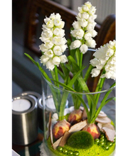 Zöller Bestattungen Bild 1