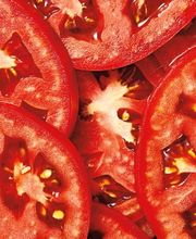 Nous découpons nos tomates et oignons chaque jour dans nos restaurants afin qu'ils soient toujours frais dans vos burgers. C'est sans doute pour ça que vous sentez si bien le goût et la texture de tous nos ingrédients.