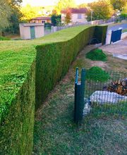 Brian Gibbs image 18