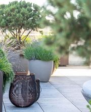 Somandin GmbH Bild 3