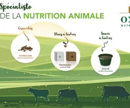 OXFORT - Nutrition Animale image 8