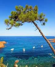 Agence Internationale Laroca Immobilier image 1