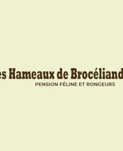 Les Hameaux De Broceliande image 1