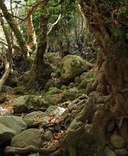 Das Fotostudio Norbert Schade Bild 3