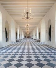 Château Chenonceau image 15