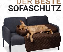 DBULLDOG GmbH Bild 4