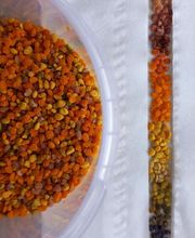 Secrets d'Abeilles image 13