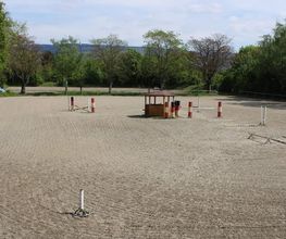 Reitschule Equo Deluxe Bild 3