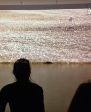 Espacio La Pradera imagen 8