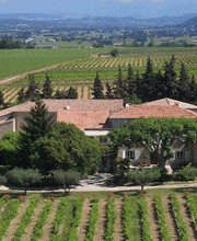 Domaine Du Terme EARL Rolland GAUDIN image 3