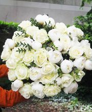 Venetoulis SA Bild 3