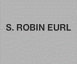 S Robin image 3
