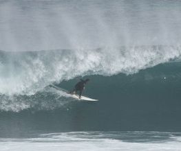One Palm Surfshop - École de Surf image 6