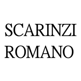 Scarinzi Romano logo
