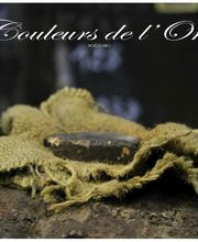 Distillerie La Monnerie image 16