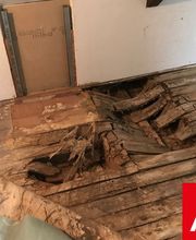 Agence Antiparasitaire du Bois Lignol image 5