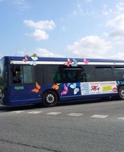 Transports Automobile Ruthenois Satar image 4