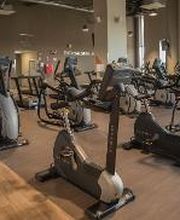 Gimnasio VivaGym Islazul imagen 10