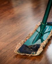 Zeno Transport Bild 4