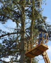Guillec Alain image 7