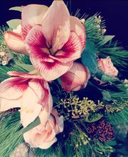 Salto Florale Bild 2