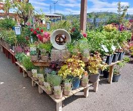 GAMM VERT image 17