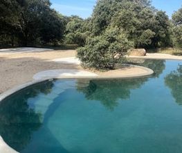 Pool&Paddle imagen 2