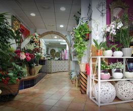 floristeria3.JPG