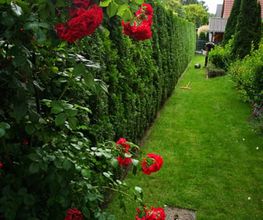 Gartenbau Schwadtke