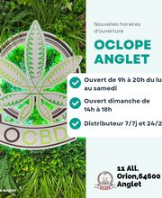 Oclope image 3