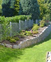 Stark im Garten Bild 32