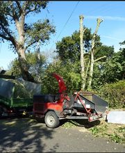 Gestin Environnement image 2