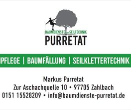 Baumdienste mit Seiltechnik Purretat Bild 2