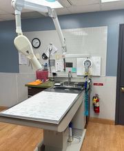 THE Grove City Veterinary Hospital image 4