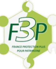 F3P - France Protection Plus Pour Patrimoine Angoulême image 14