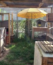 L'arche de Corinne image 20