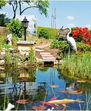 Zoo Rohleder Bild 11