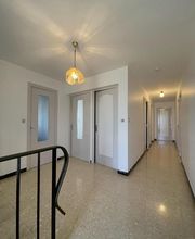 Segura Plaquiste image 8