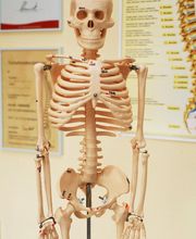 Naturheilpraxis Poeffel Bild 7