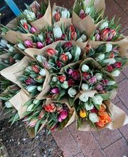 Blumen Müller Bild 3