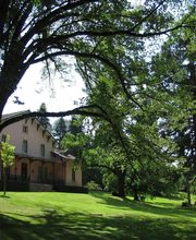 Meillonnas Paysages Elagage image 13