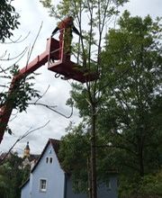 Grundstückspflege und Motorsägenkunst Colin Sand Bild 18