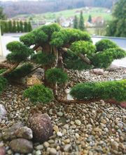 Thomas Frei GmbH Bild 5