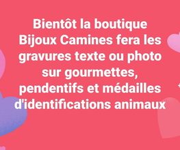 Bijoux Camines image 3