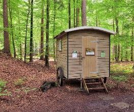 FriedWald Buxtehude Bild 17