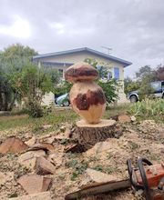 Arbroservice image 17