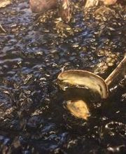 Cantina Marina Seca imagen 14