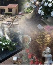 Cimetière D'Animaux image 2